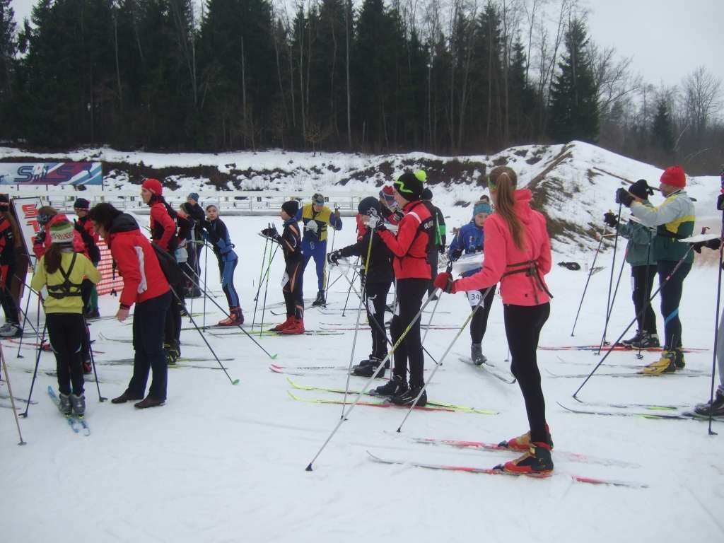  Latvijas 2015 gada ziemas orientēšanās čempionāts ar slēpēm