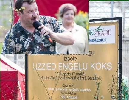 Sākas labdarības akcija „Uzzied eņģeļu koks”