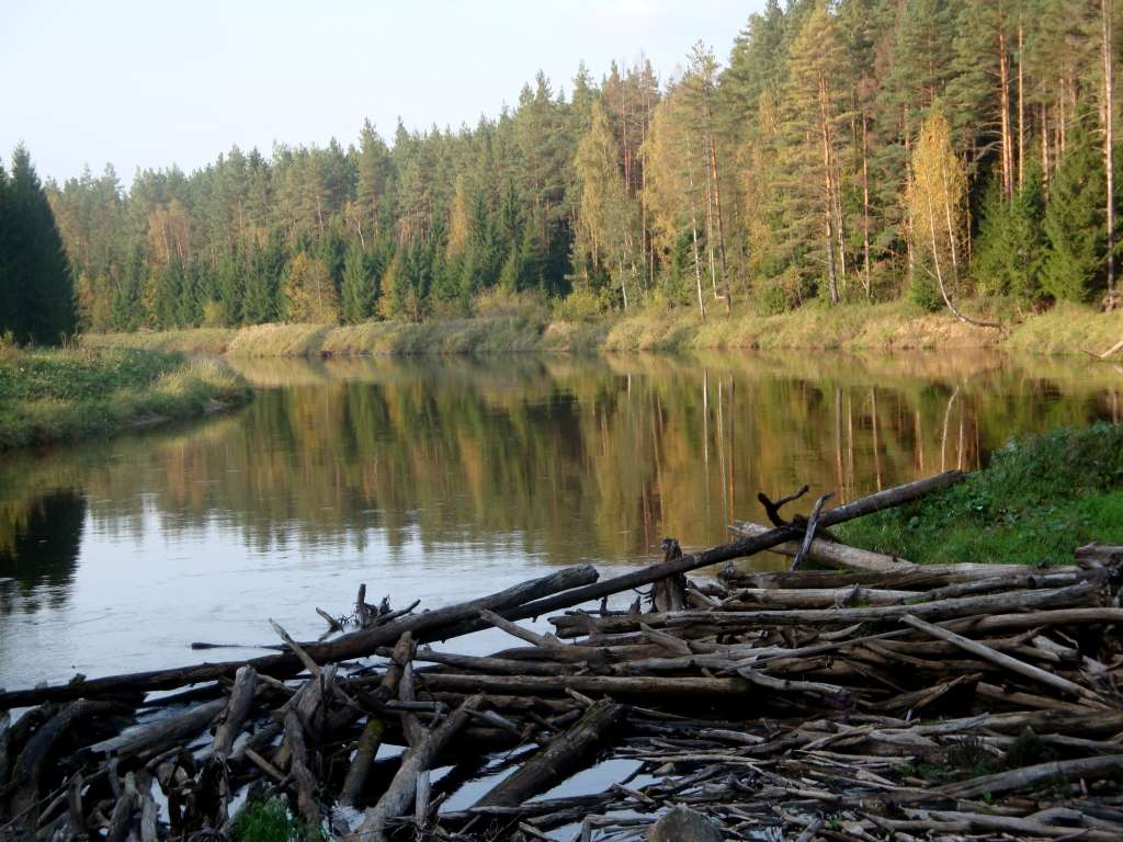 Tepera takas 2015 1. kārtas rezultāti