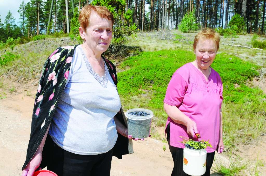 Sācies gaileņu un melleņu laiks