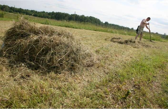 Valmierā notiks darba birža potenciālajiem laukstrādniekiem