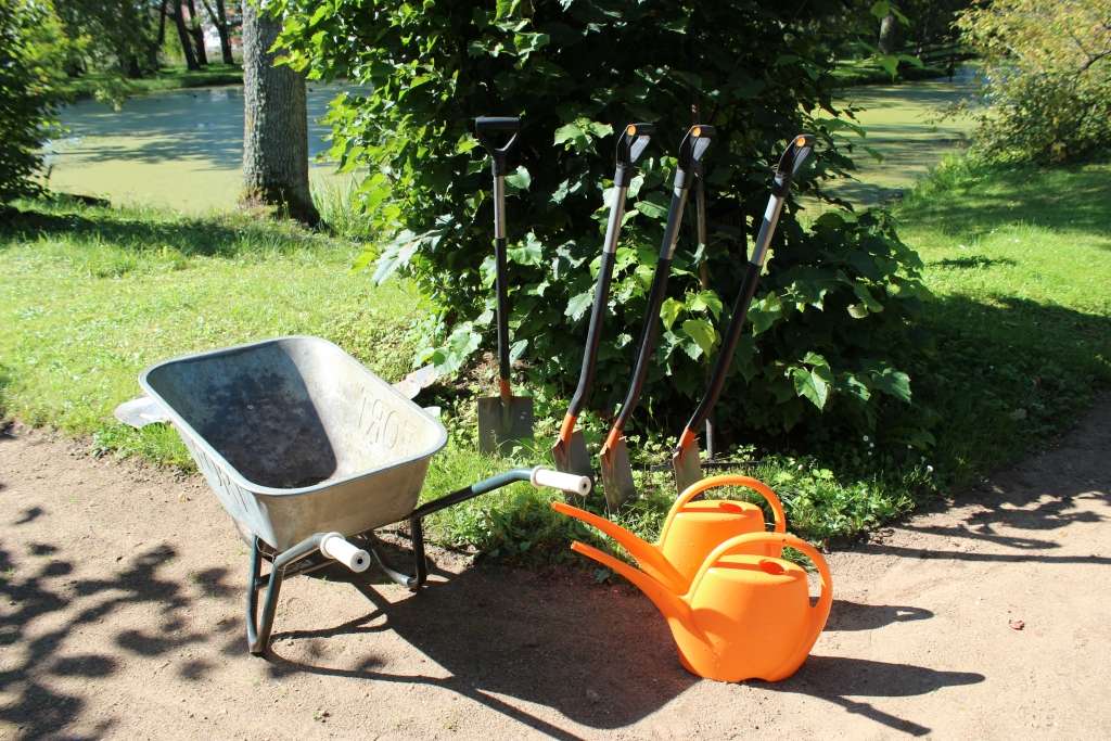 Burtnieku muižas parks par 25 liepām krāšņāks