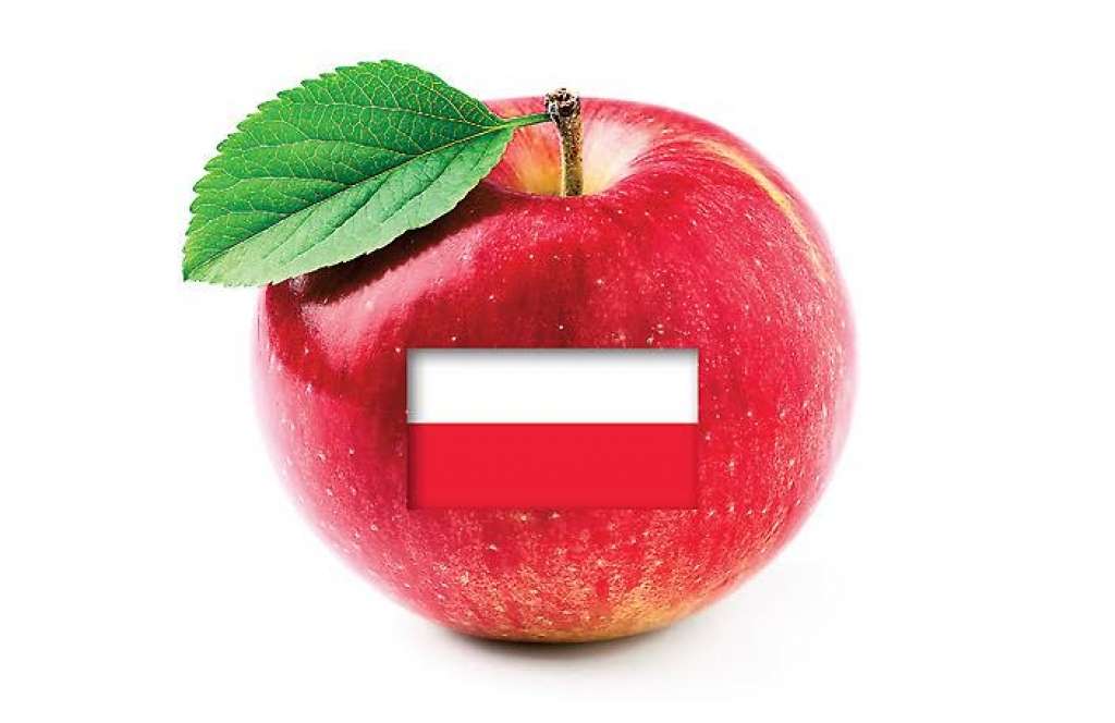 Ābolu mistērija - kāpēc gāzētais polis izkonkurē smaržīgo latvieti?