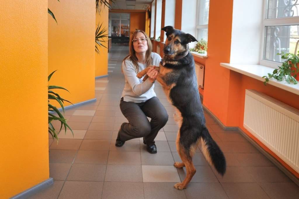 Par dzīvniekiem LU fakultātēs: Labvēlība iespējama vienmēr