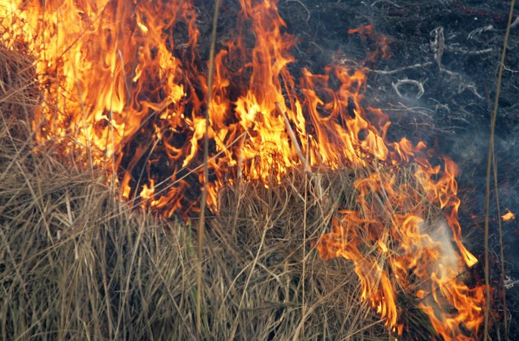 Otrdien dzēsts šogad pirmais kūlas ugunsgrēks