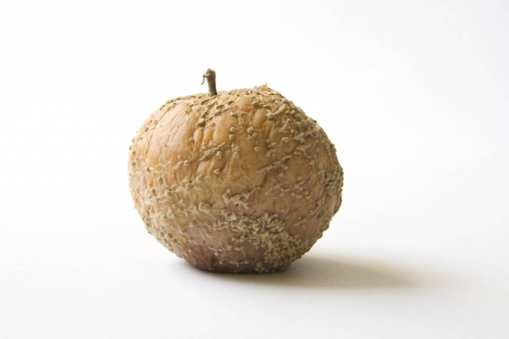 Vecu pārtiku grib pārvērst biogāzē 