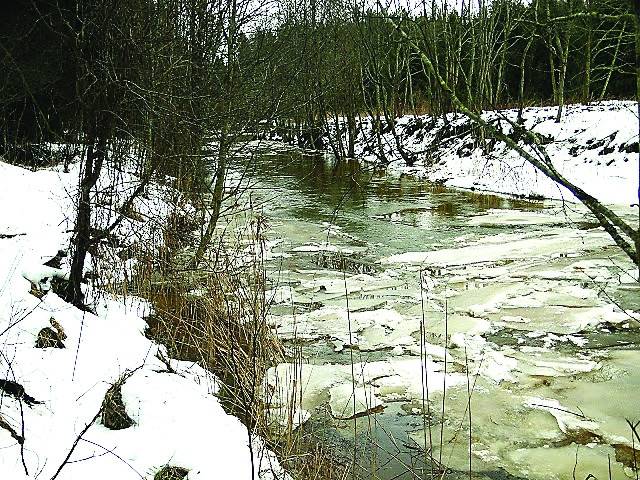 LAIKA ZIŅAS