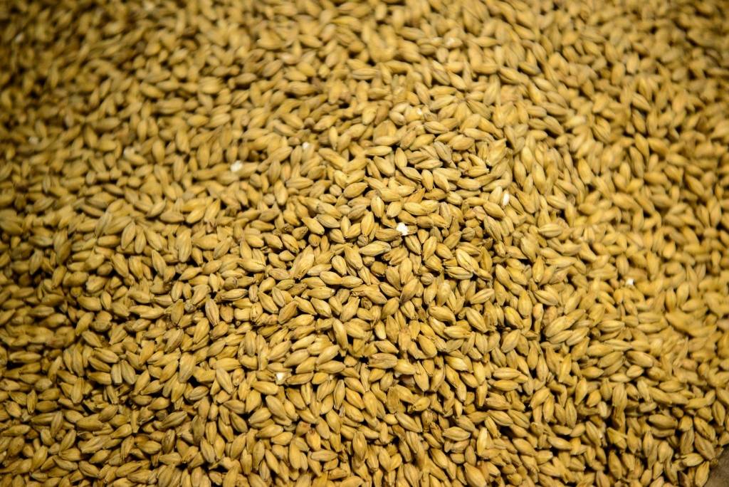 Lielvārdes alus uzsācis sadarbību ar Latraps jauna alus radīšanā 