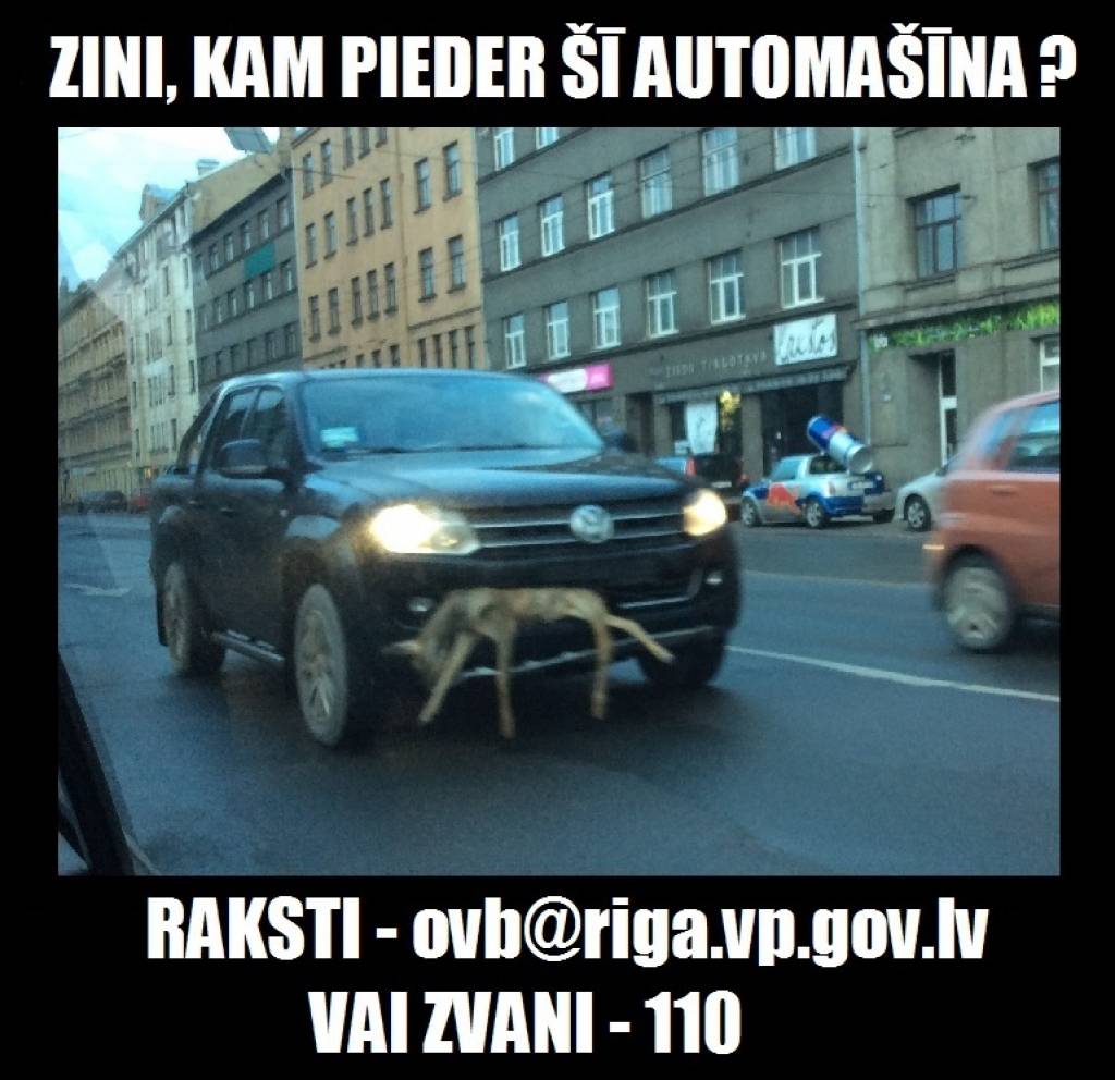 Policija meklē autovadītāju, kurš braukājis ar bamperī iesprūdušu stirnu