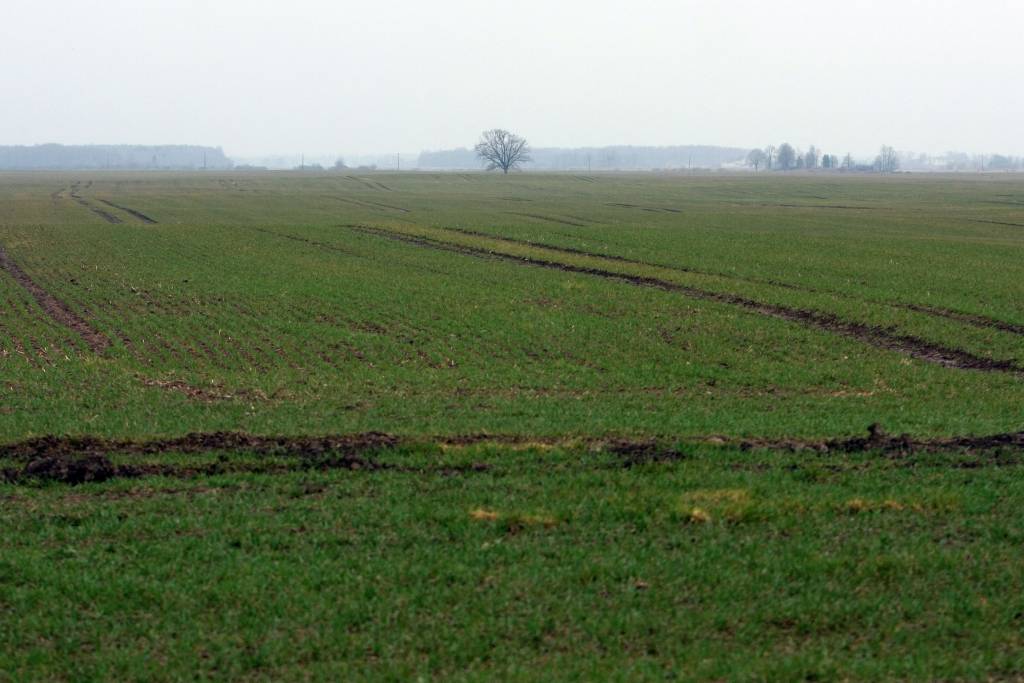 Latvijā iesaka ieviest nodokli par pesticīdu izmantošanu lauksaimniecībā