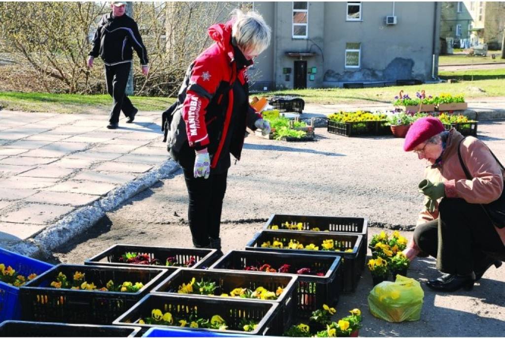 Latvijas pusē iepērkas arvien vairāk igauņu