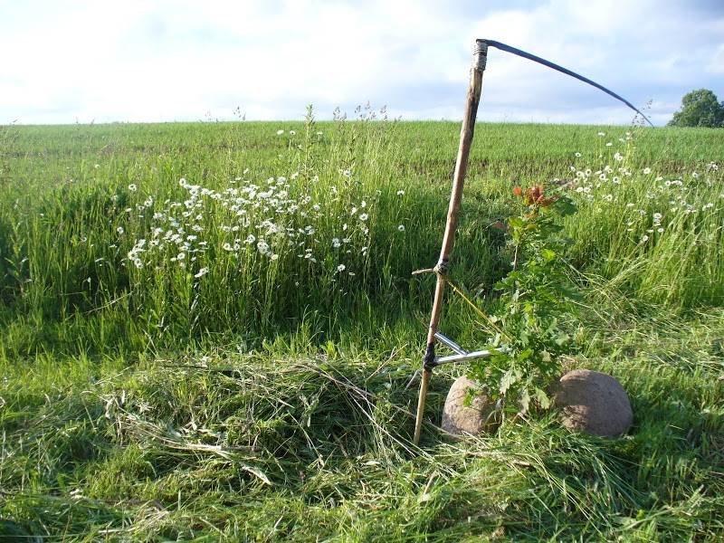 Mediķu arodbiedrības vadītājs ZZS vadīto valdību salīdzina ar nāvi, kas pļauj cilvēkus ar izkapti