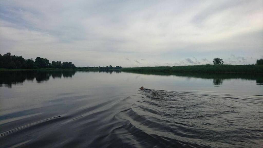 Karavīrs peldus tiek no Jelgavas līdz jūrai