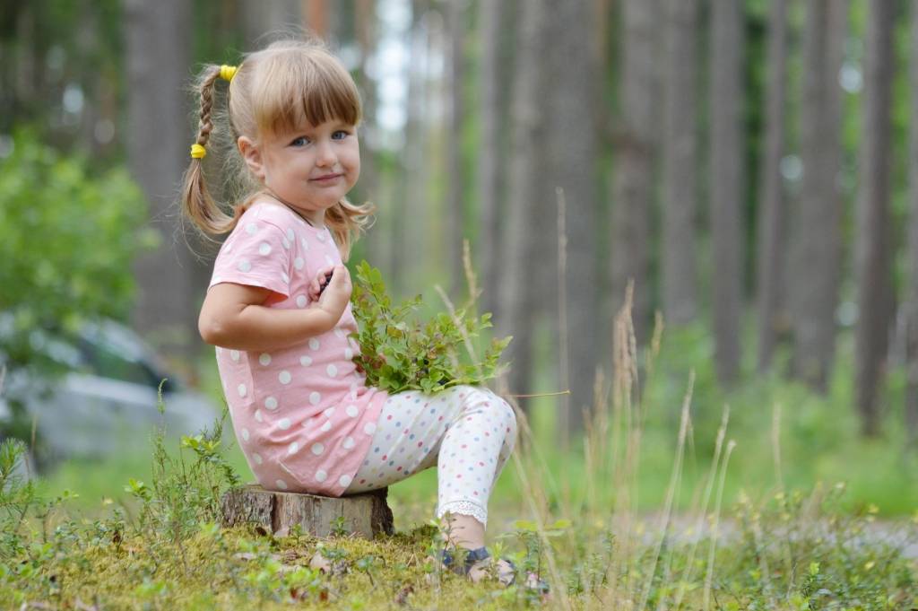 Šovasar ar gardu muti mellenēs