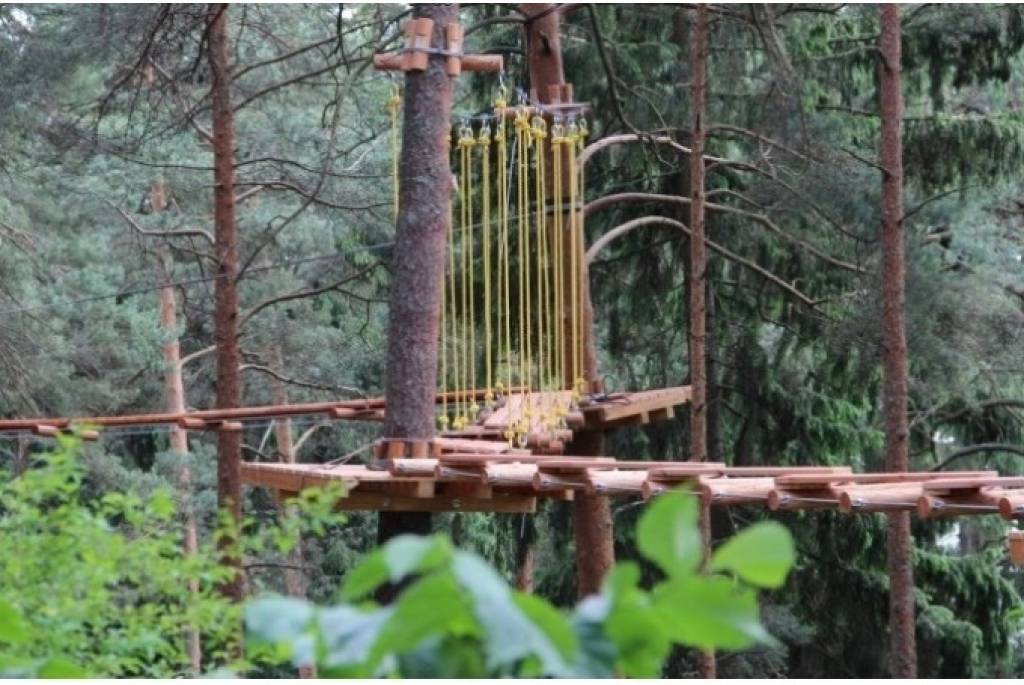 Ogres pilsētas svētkos atklās kokos ievīto Milža taku