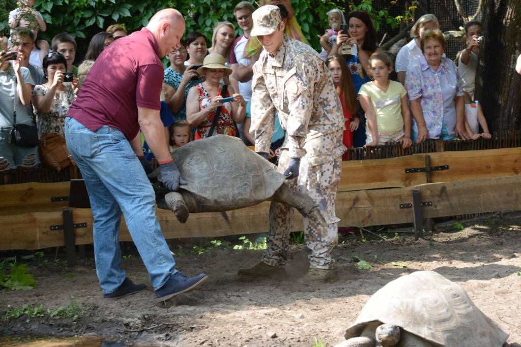   Priecīga ziņa - Galapagu bruņrupuči pieņēmušies svarā