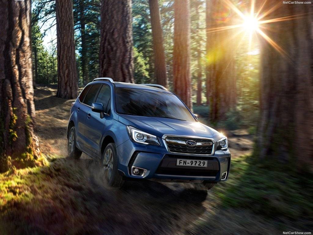 Subaru Forester: Auto, kas neieredz baltrocīšus