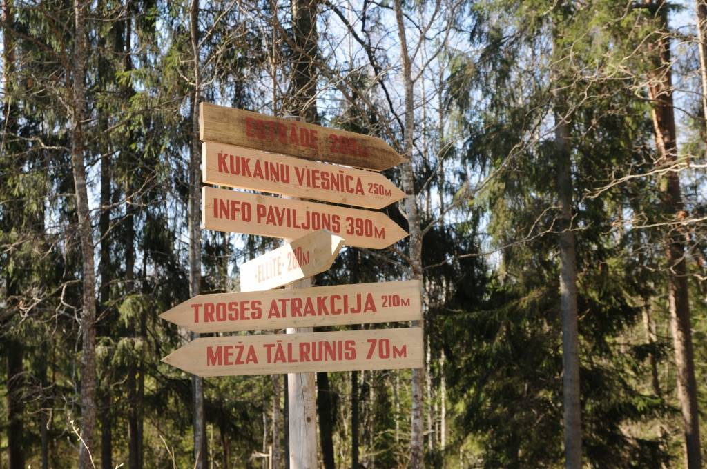 Iepazīst dzimto novadu