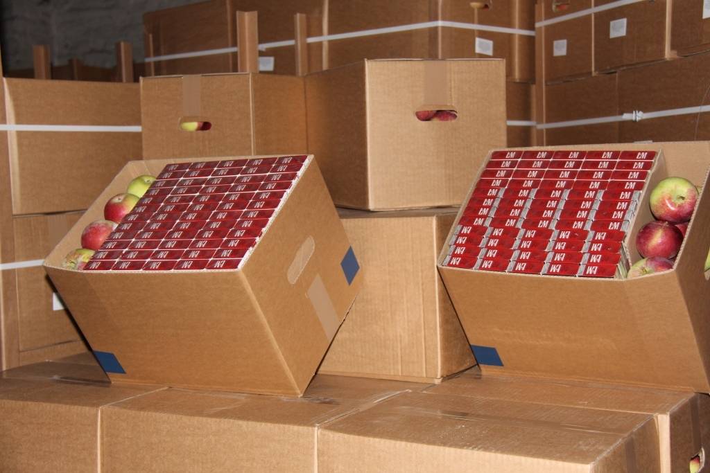 Aiztur personu grupu par 2,6 miljonu cigarešu kontrabandu