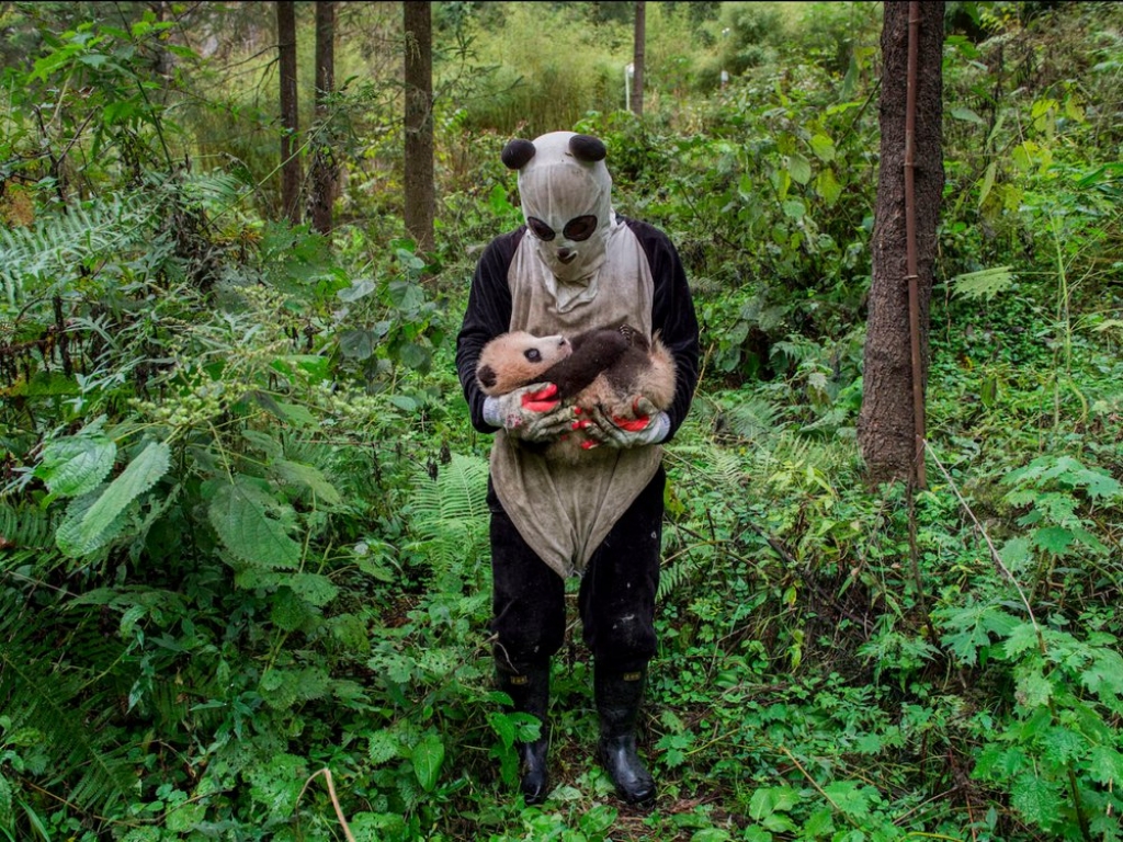 18 skaistākās fotogrāfijas - Sony World Photography balvas kandidāti