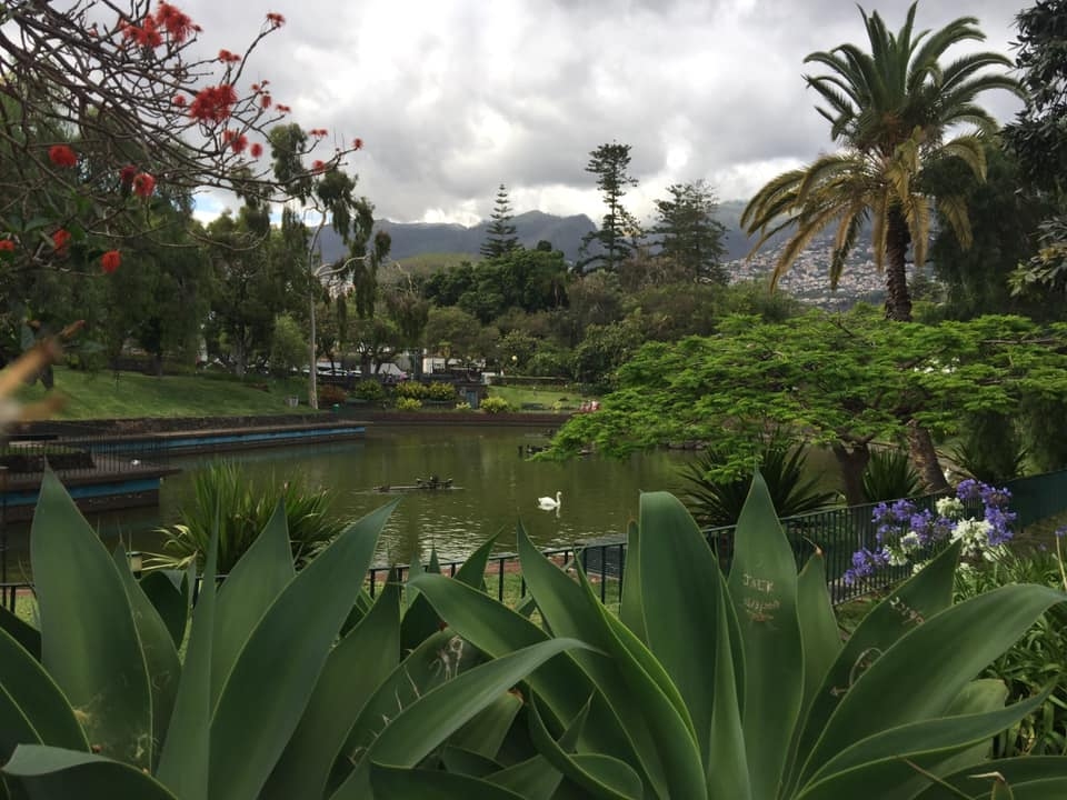 Madeira – sala, kas pārsteidz ar dabas skaistumu