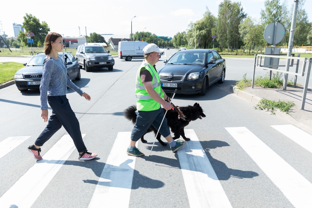 Neredzīgi gājēji uz ceļa un droša braukšana — padomi autovadītājiem un riteņbraucējiem