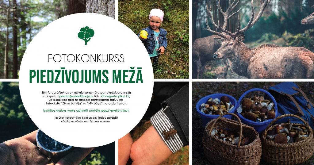 Aicinām piedalīties fotokonkursā "Piedzīvojums mežā"