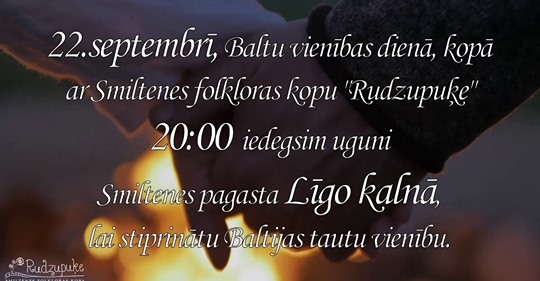 Baltu vienības diena