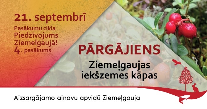Pārgājiens pa Ziemeļgaujas iekšzemes kāpām