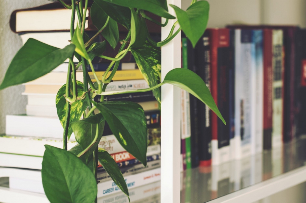 Smiltenes bibliotēkai mainīts darba laiks