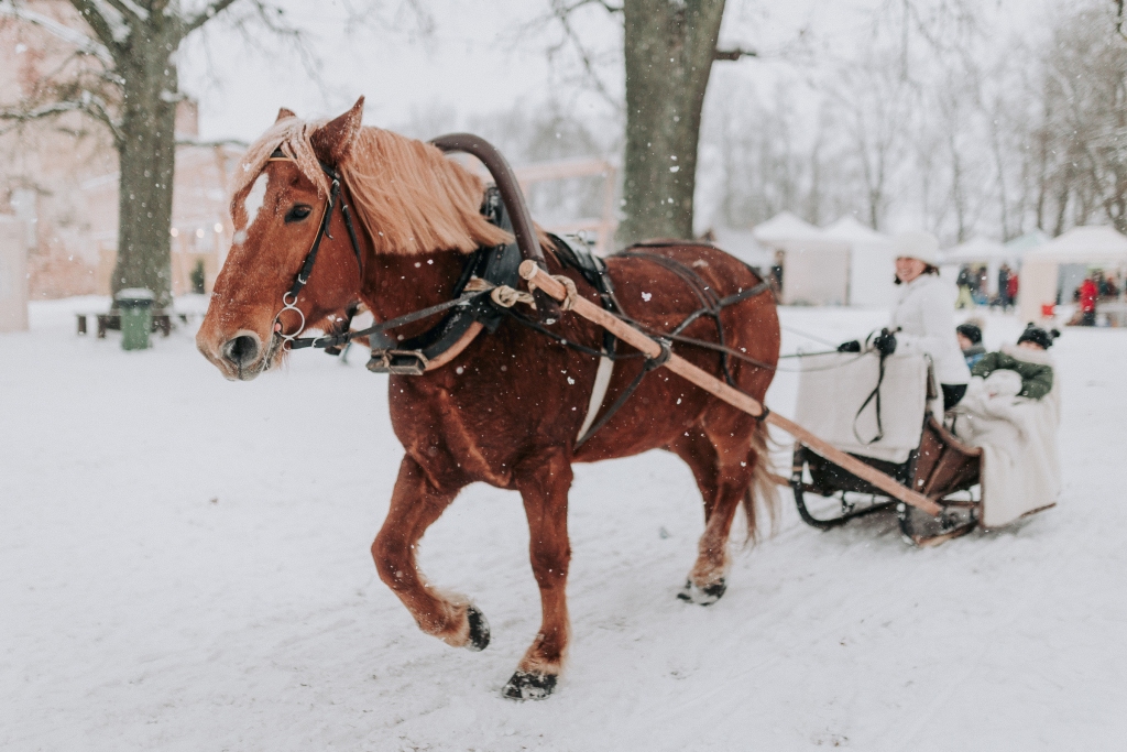 Valmiermuižā aicina uz ziemas saulgriežu lustēm