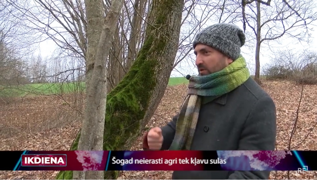 VIDEO: Šogad neierasti agri tek kļavu sulas. Pirmo urbumu saimniecības "Birzī" saimnieks Ervins Labanovskis veicis vēl pirms jaunā gada