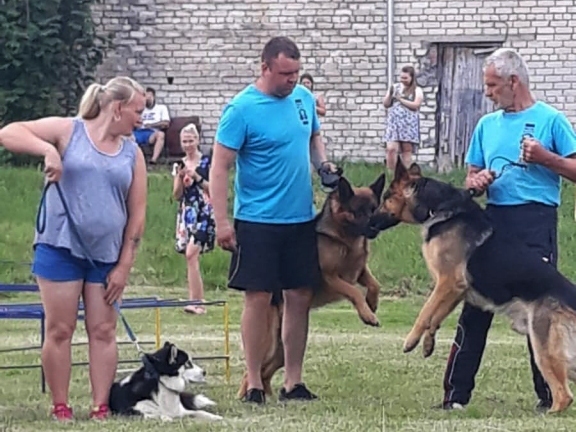 Valkā aizvadītas suņu sporta daudzcīņas sacensības. Mājinieku komandai – pirmā vieta