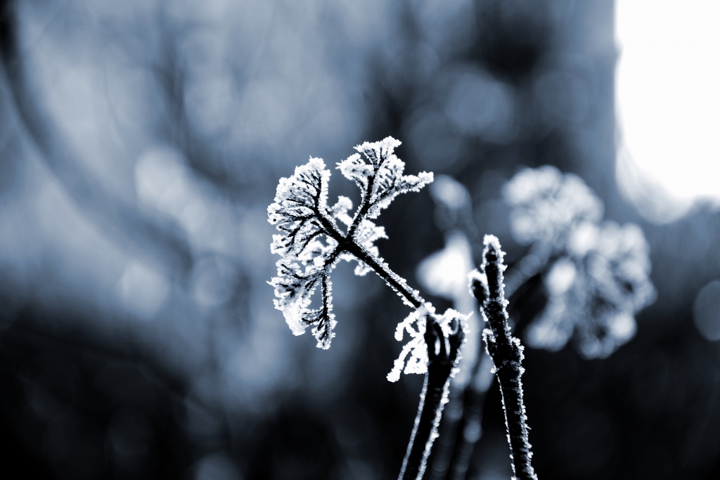 Gaisa temperatūra pazeminājusies līdz -8 grādiem