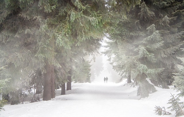 Brīvdienās un nākamajā nedēļa gaisa temperatūra būtiski pazemināsies, intensīvi snigs un putinās