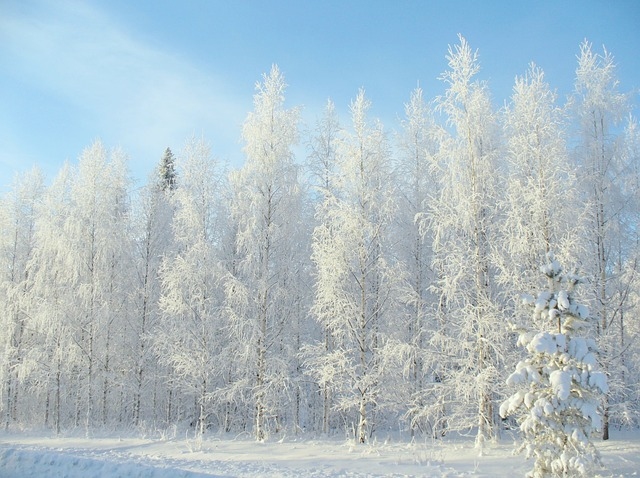 Arī pirmdien Latvijā gaidāms gan sniegs, gan saule