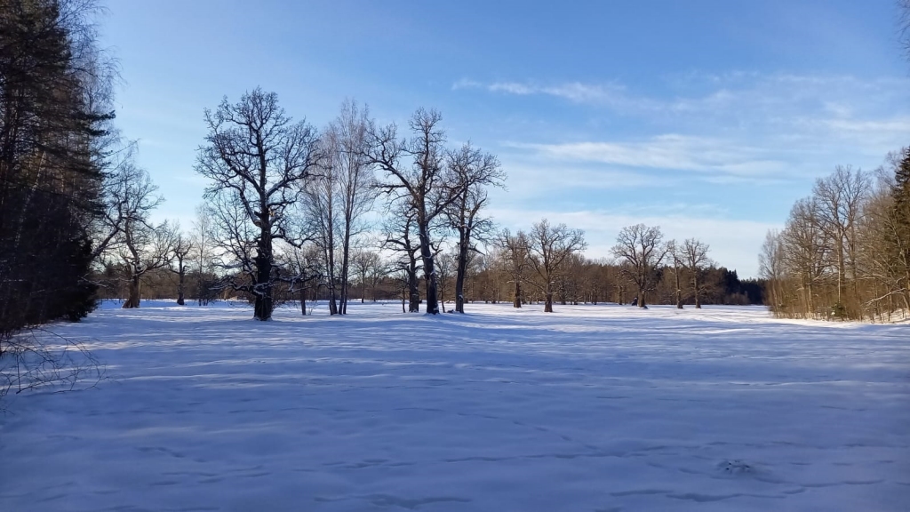 Pie Zīles atjaunos parkveida pļavas