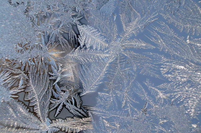 Naktī uz otrdienu gaisa temperatūra Vidzemē var noslīdēt līdz -20 grādiem