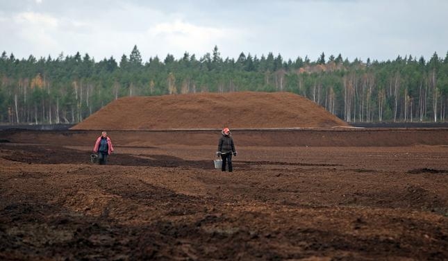 Vidzemē pieprasītākā profesija –  kūdras ieguves palīgstrādnieks