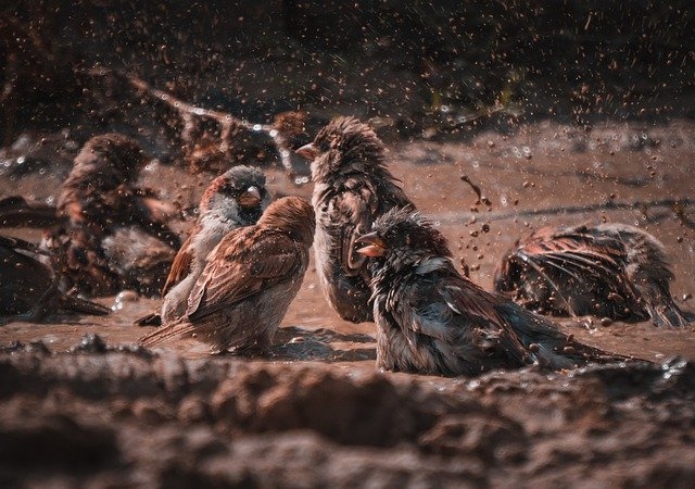 Naktī un otrdien pa dienu Latvijā valdīs vēss laiks un gaidāms slapjdraņķis