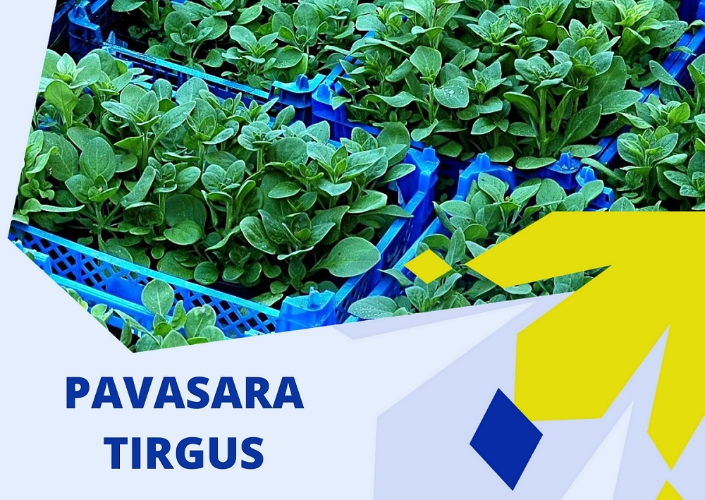 Blomē un Smiltenē notiks pavasara tirgus