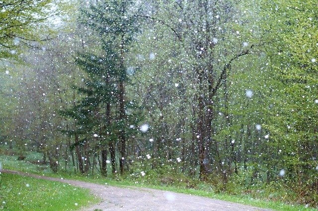 Naktī uz 4.maiju gaidāmi nokrišņi un brāzmains vējš