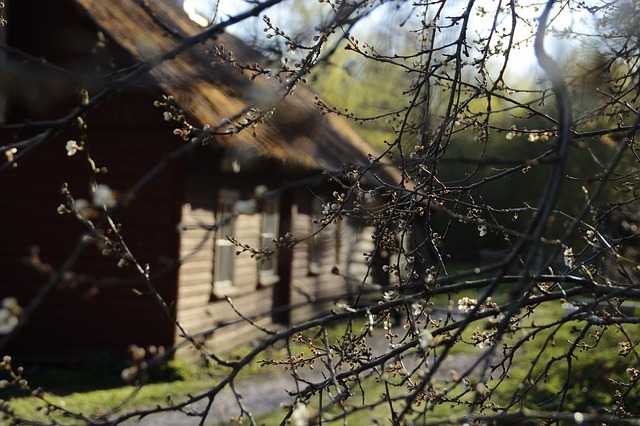 Sestdien gaisa temperatūra pakāpsies līdz +19 grādiem