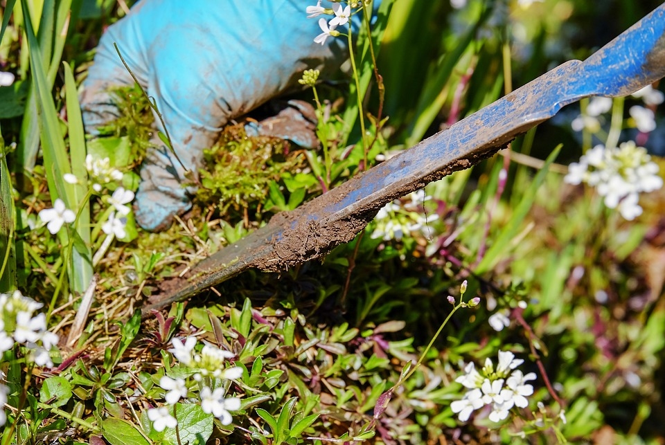 Par darbu vasaras brīvlaikā skolēniem un viņu vecākiem