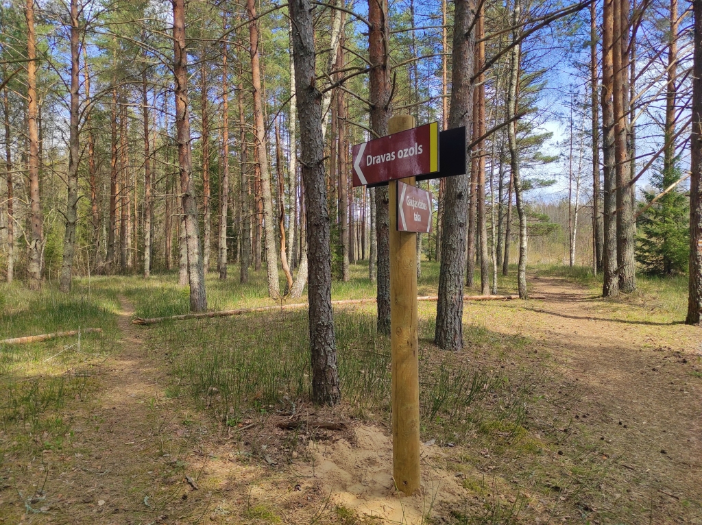 Uzlabos tūrisma infrastruktūru Gaujas dabas takā Strenčos