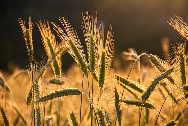 Tuvākajā diennaktī laika apstākļi būtiski nemainīsies, kļūs nedaudz vēsāks