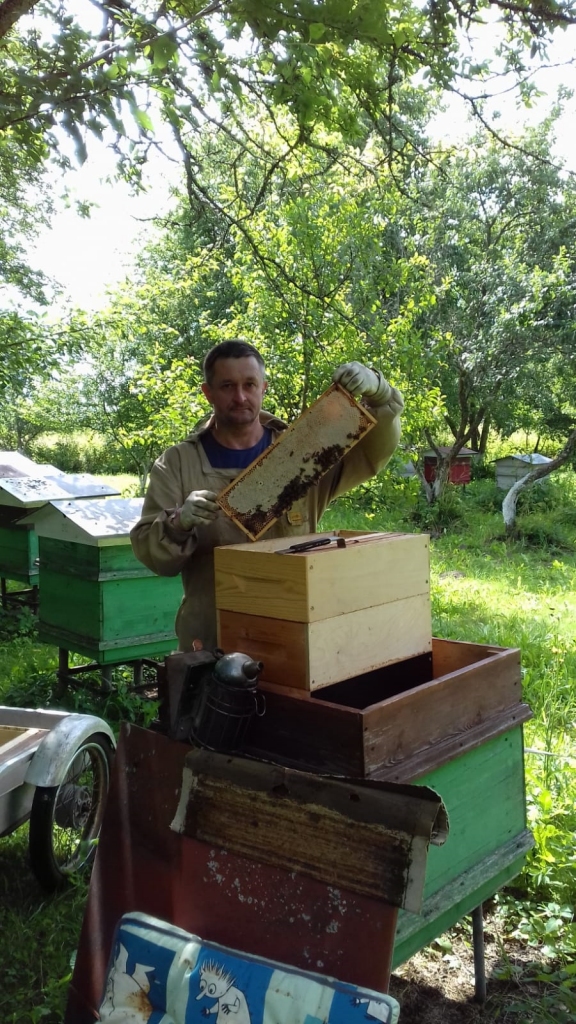 “Dzintaros” ievāc garšīgāko medu un attīsta bišu dziedniecību