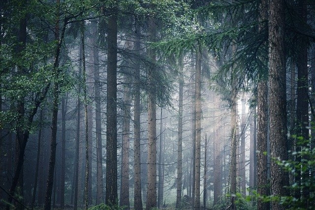 Pirmdien būs maz nokrišņu un uzspīdēs saule