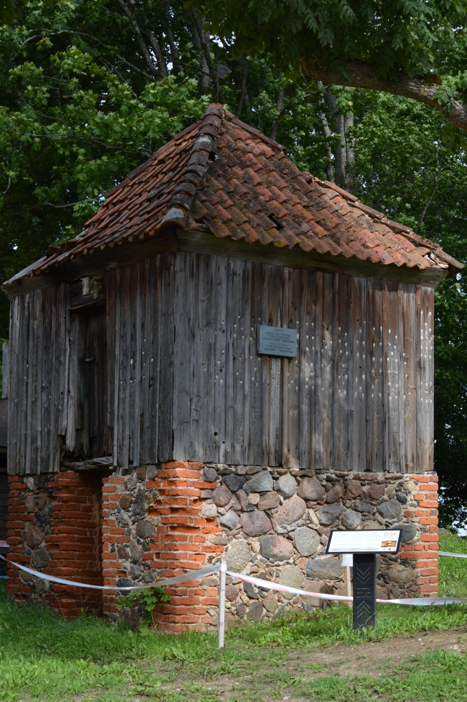 Lai izglābtu, ar gribu vien nepietiek