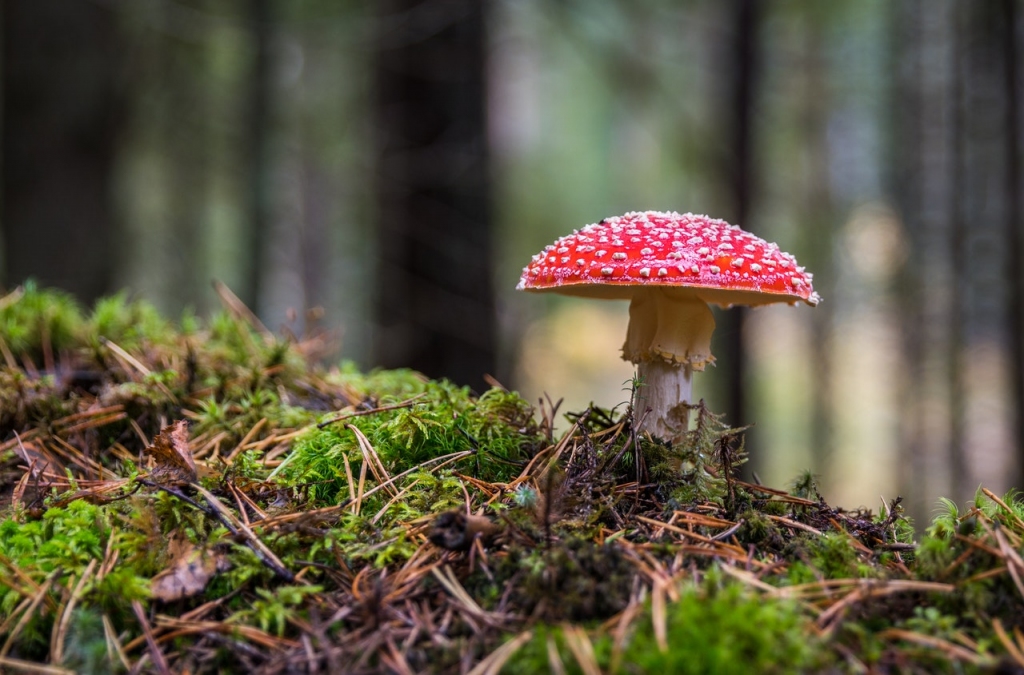 Otrdien gaidāms daļēji mākoņains laiks